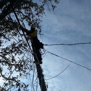 Meet your Posher, Dylan